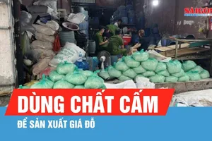 TPHCM: Khởi tố 4 bị can dùng chất cấm để sản xuất giá đỗ