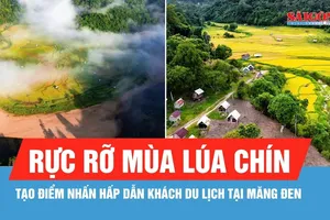 Măng Đen rực rỡ mùa lúa chín