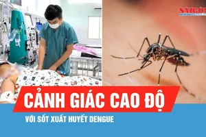 TPHCM bước vào giai đoạn cảnh giác cao độ với sốt xuất huyết Dengue