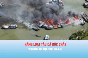 Podcast bản tin tối 29-6: Hàng loạt tàu cá bốc cháy ven đầm Thị Nại