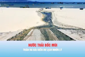 Podcast bản tin thời sự ngày 10-7: Khắc phục tình trạng nước thải tràn ra bãi biển du lịch Nhơn Lý