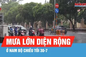 Dự báo Nam bộ tiếp tục có mưa chiều tối 30-7