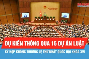 Quốc hội khóa XVI xem xét 33 nội dung tại kỳ họp không thường lệ thứ nhất