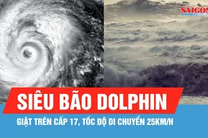 Ảnh hưởng siêu bão Dolphin: Dự báo sóng biển cao 2-4m, biển động rất mạnh