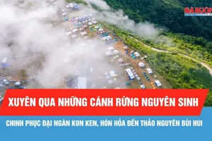 Chinh phục đại ngàn Kon Ken, Hòn Hỏa đến thảo nguyên Bùi Hui