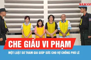 Khởi tố luật sư giúp sức cho vợ chồng Phú Lê che giấu vi phạm