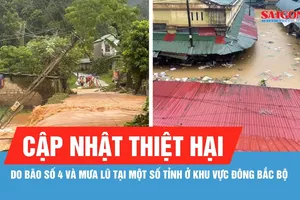 Mưa lũ do bão số 4 gây hư hỏng, ngập 300 căn nhà và hơn 1.000ha cây trồng