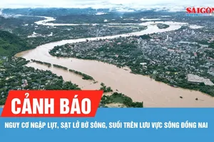 Chủ động phòng ngừa sạt lở, ngập úng ven sông Đồng Nai