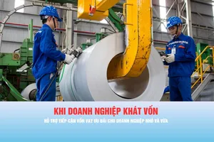 Nhịp cầu cử tri: Khi doanh nghiệp khát vốn