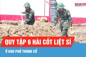 Quảng Trị: Phát hiện, quy tập 6 hài cốt liệt sĩ ở khu phố Thành Cổ