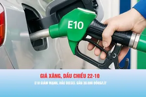 Podcast bản tin thời sự ngày 22-10: Giá dầu diesel tăng, lên gần 30.000 đồng/lít