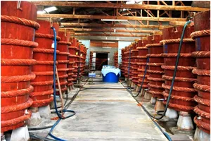 Dư luận phản ứng việc Vinastas chỉ bị phạt 15 triệu đồng