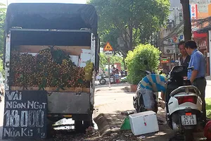 Trái vải được bán buôn trên đường Điện Biên Phủ, TPHCM             Ảnh:  AN NHIÊN 