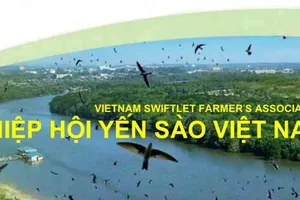 Ông Phạm Thế Ruân được bầu làm Chủ tịch Hiệp hội Yến sào Việt Nam