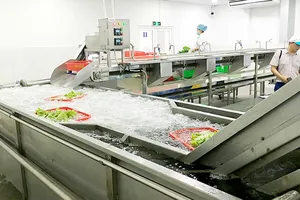 Hệ thống máy rửa rau theo công nghệ nước ngoài  của nông dân TPHCM