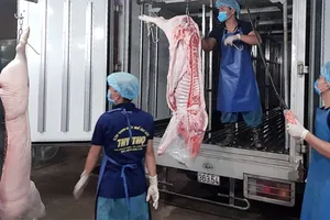 Các sản phẩm thịt heo tại MM Mega Market được vận chuyển bằng xe chuyên dụng, đảm bảo nhiệt độ trong khoảng 2-4 độ C