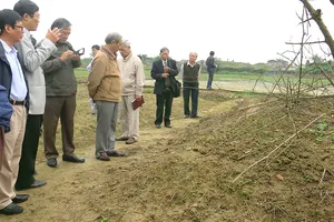 Cồn đất nổi nhỏ giữa cánh đồng Bàu Đá được xem là nơi nguyên táng  thi hào Nguyễn Du