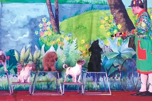 Nghệ sĩ Thế Liêm (Đoàn xiếc thú Lê Hồng Lộc, Hà Nội) với các màn điều khiển chó làm toán  (ảnh nhỏ) và nhảy qua vòng 