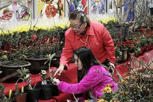 Chọn hoa chưng tết ở Bến Thành Plaza