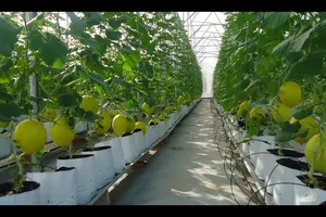 1,6% hợp tác xã nông nghiệp có ứng dụng  công nghệ cao