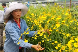 Chị Nguyễn Thị Hạ được hỗ trợ trong sản xuất đã vươn lên khấm khá