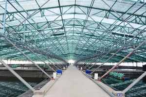 Mô hình nuôi tôm siêu thâm canh  tại Công ty cổ phần Việt Úc - Bạc Liêu