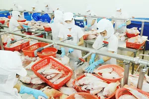 Chế biến cá xuất khẩu tại Công ty APT                  Ảnh: CAO THĂNG