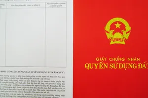 Tháo gỡ từng trường hợp để cấp GCN cho người dân