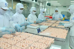 Chế biến thực phẩm tại CJ Cầu Tre       Ảnh: CAO THĂNG