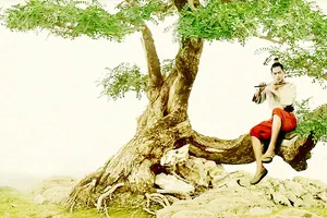 Phim Trạng Quỳnh đang nhận được nhiều mong đợi từ khán giả.	Ảnh: Đ.P.C.C.