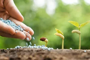 Khai thác nhu cầu phân bón của cây trồng “mới nổi”