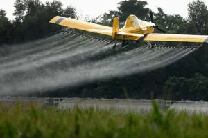 Pháp tạm cấm sử dụng một loại thuốc trừ sâu phổ biến   