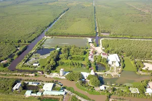 “Rừng thuốc” phủ xanh trên vùng đất chết              Ảnh: HOÀNG HÙNG