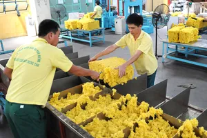 Cao su thiên nhiên, một mặt hàng xuất khẩu nhiều sang Trung Quốc.   Ảnh: CAO THĂNG