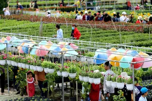 Du khách nhộn nhịp tham quan làng hoa Sa Đéc     Ảnh: THÀNH TRUNG