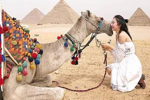 Quảng bá du lịch   