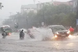 Nhiều tỉnh thành miền Nam sẽ mưa 300 - 400mm