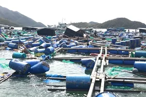 Hậu bão, người nuôi thủy sản chờ khoanh nợ