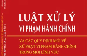 “Dìm hàng” doanh nghiệp khác, bị phạt đến 600 triệu đồng