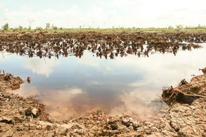 Xâm nhập mặn tại Nam bộ tiếp tục gia tăng