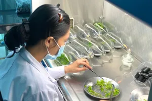 Tại Trung tâm Công nghệ sinh học TPHCM, việc nghiên cứu, phát triển sản phẩm luôn gắn liền mục tiêu thương mại hóa sản phẩm