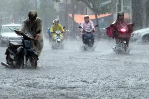 Áp thấp gây mưa đến 500mm