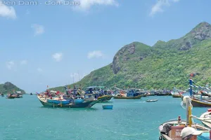 Xây dựng khu tái định cư Côn Đảo ở vị trí không có rừng