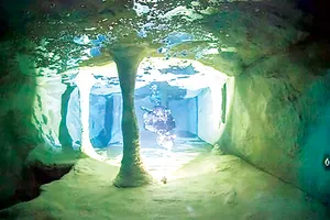 Bể lặn sâu nhất thế giới