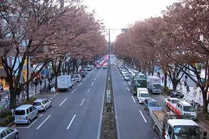 Khuyến khích dùng xe không phát thải 