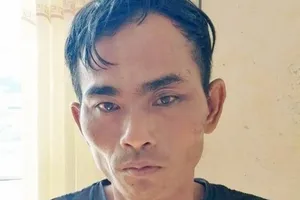 Đối tượng Huỳnh Hữu Lực bị tạm giữ hình sự tại Cơ quan Công an. Nguồn: TTXVN 