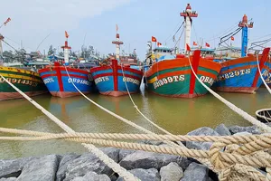 Đội tàu đánh bắt xa bờ của tỉnh Quảng Bình được ngư dân đầu tư từ chính sách ưu tiên  vay vốn đóng tàu hiện đại, đi khơi xa