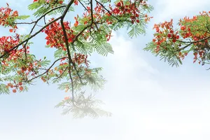 Mùa hạ trong nhau