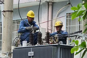 Nhân viên EVNHCMC kiểm tra lưới điện để đảm bảo  an toàn điện trong mùa mưa