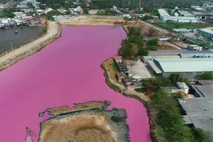 Hồ chứa nước thuộc cống số 6, xã Tân Hải, thị xã Phú Mỹ (Bà Rịa - Vũng Tàu), nước hồ chuyển từ màu đen đặc sang màu tím, bốc mùi hôi thối, khó chịu. Ảnh: NGUOILAODONG